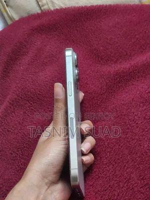 Apple iPhone 15 Pro Max 256 GB Silver