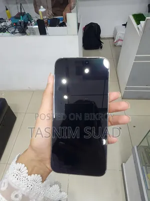 Apple iPhone 15 Pro Max 256 GB Silver