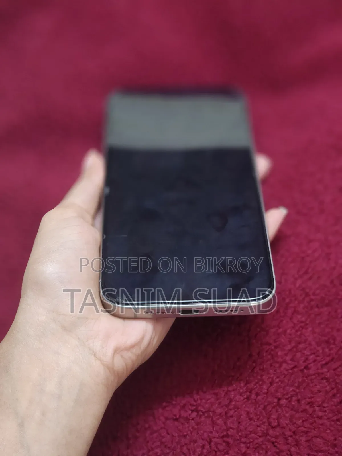 Apple iPhone 15 Pro Max 256 GB Silver