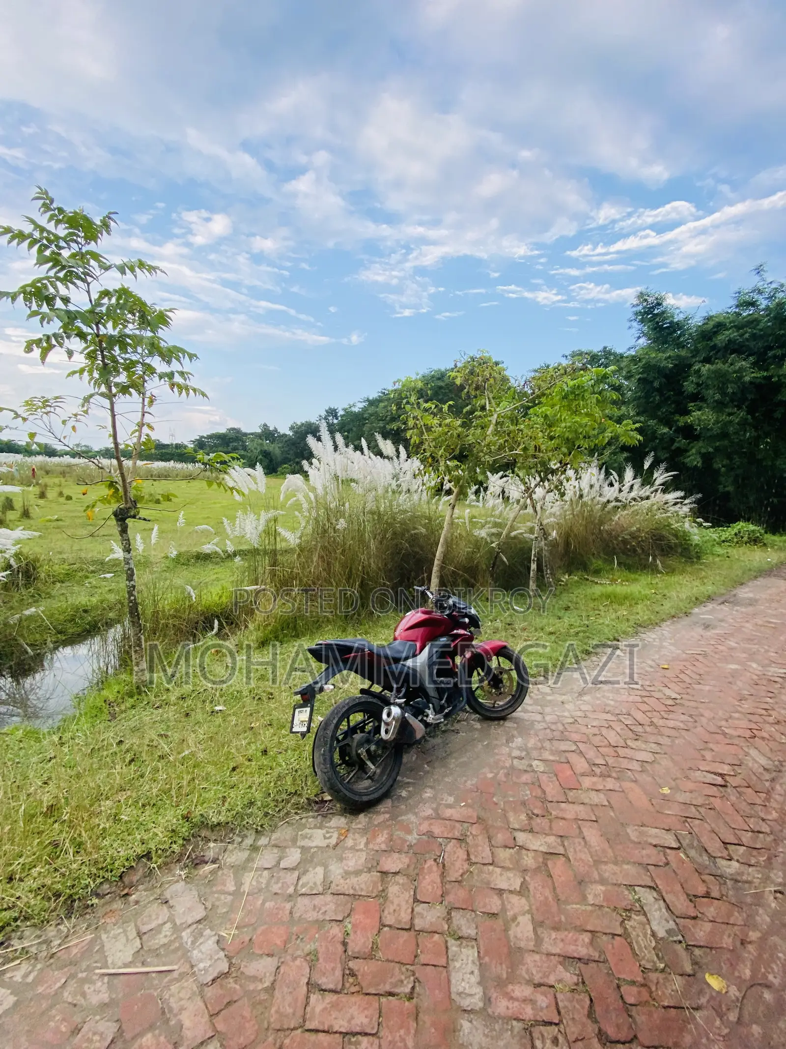 Suzuki Gixxer 2022 Red