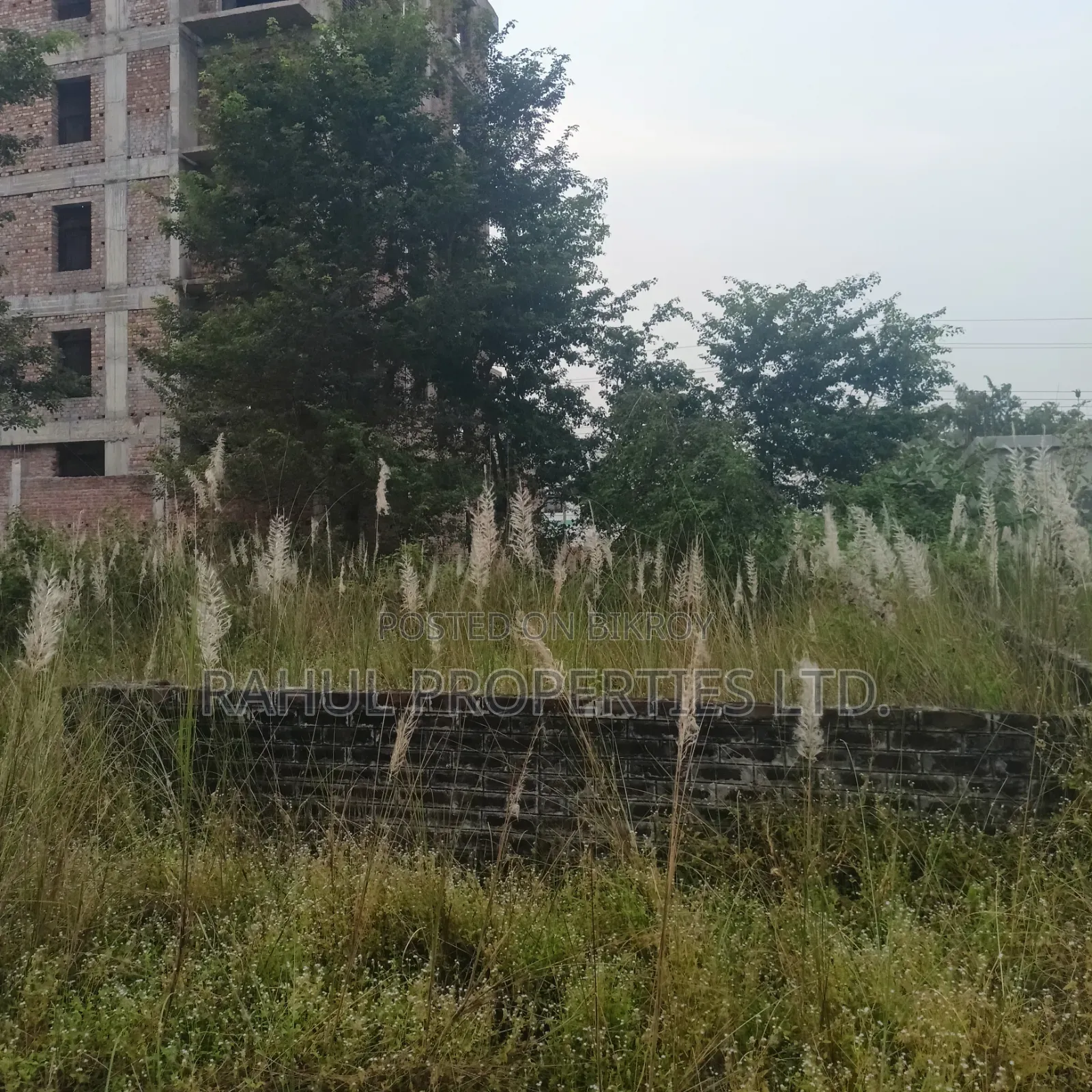 Emergency_ N-Block [ 3 Katha ] Land for Sale Bashundhara.