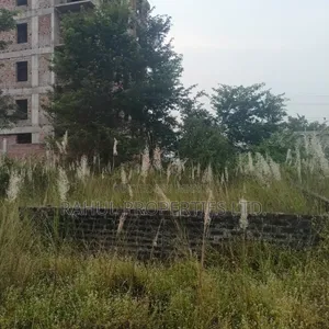 Emergency_ N-Block [ 3 Katha ] Land for Sale Bashundhara.