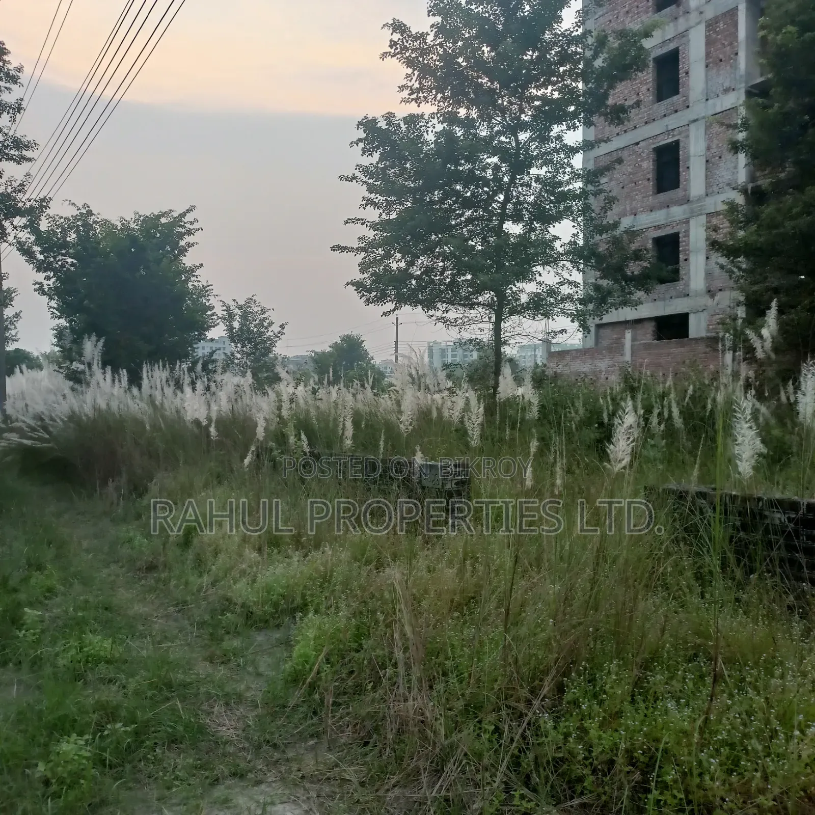 Emergency_ N-Block [ 3 Katha ] Land for Sale Bashundhara.