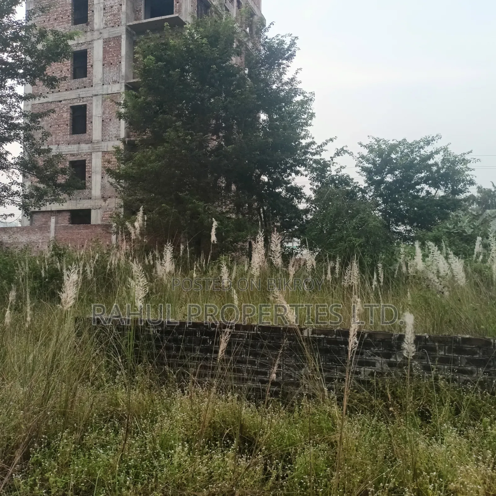 Emergency_ N-Block [ 3 Katha ] Land for Sale Bashundhara.