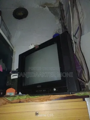 21 Inch Color Television