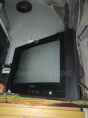 21 Inch Color Television