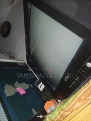 21 Inch Color Television