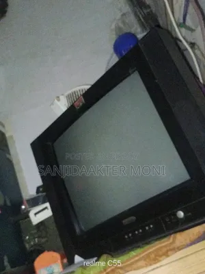 21 Inch Color Television