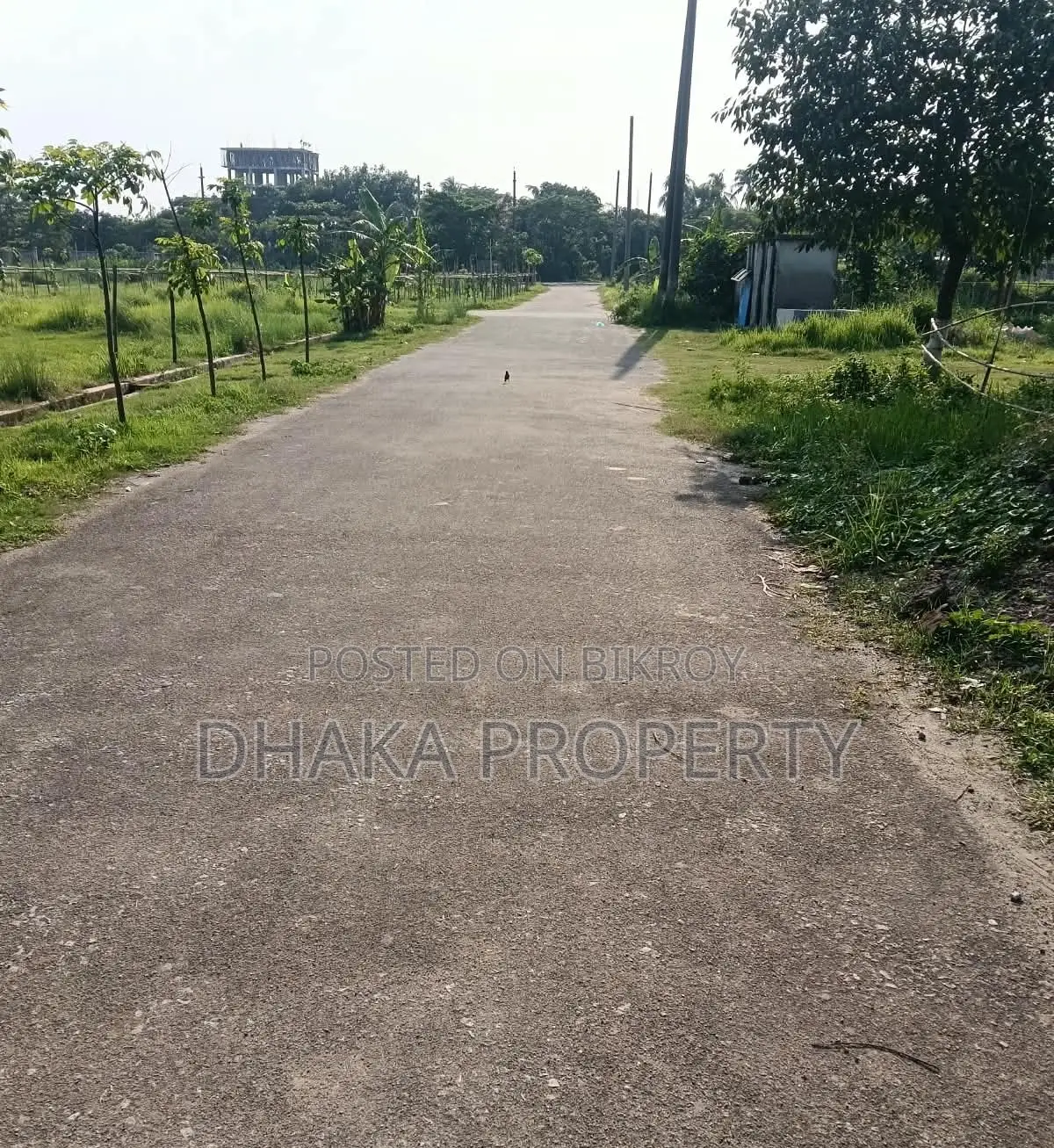 3 Katha Land Sale Park South at Sector 26