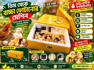 ডিম থেকে বাচ্চা ফুটানোর মেশিন। Incubator। ইনকিউবেটর
