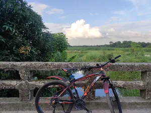 Gear Cycle For Sale