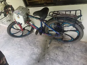 Electric Bicycle for Sale
