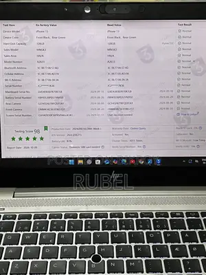 অ্যাপল আইফোন ১৩ ১২৮ জিবি সবুজ