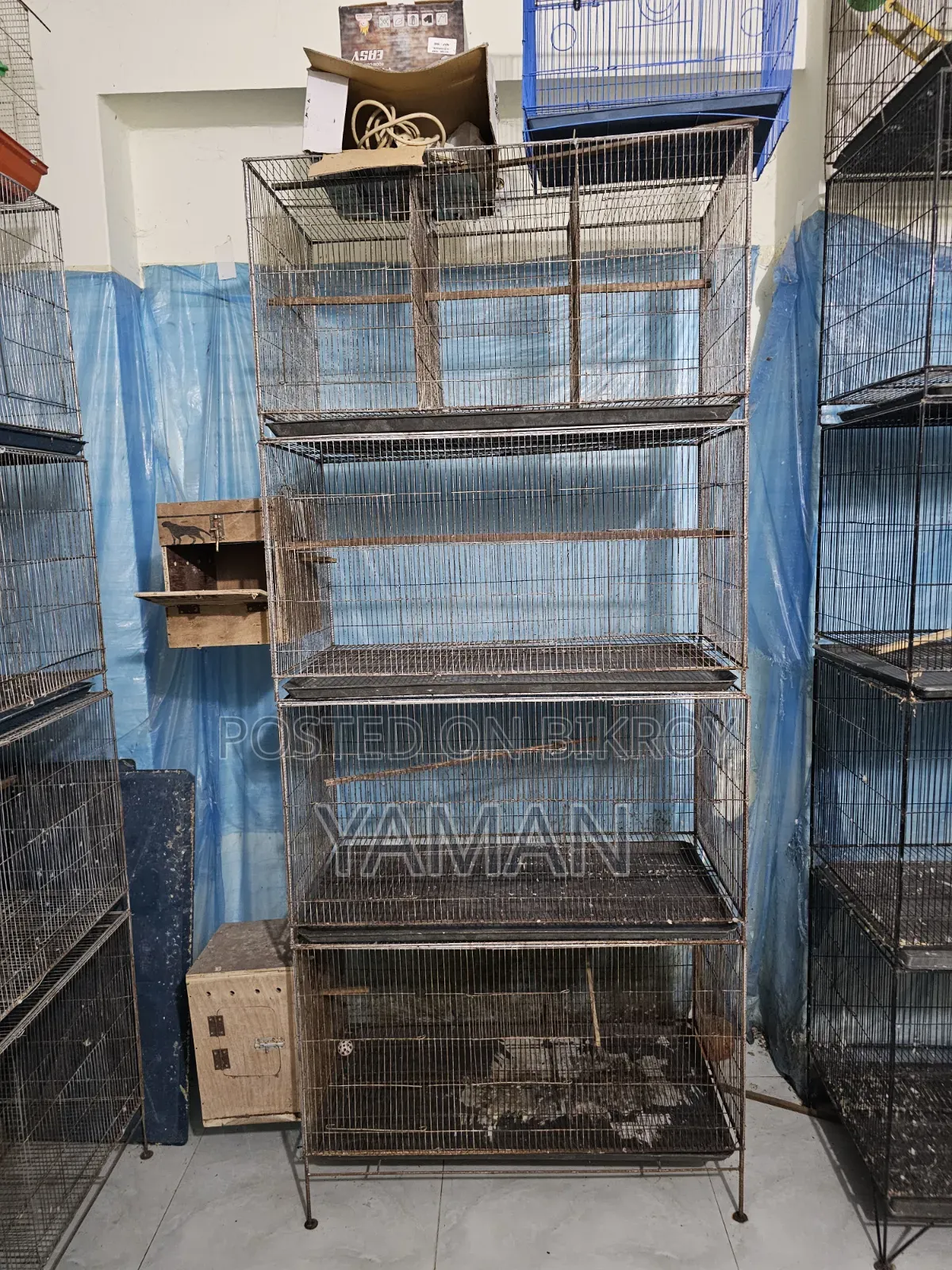 Birds Cages