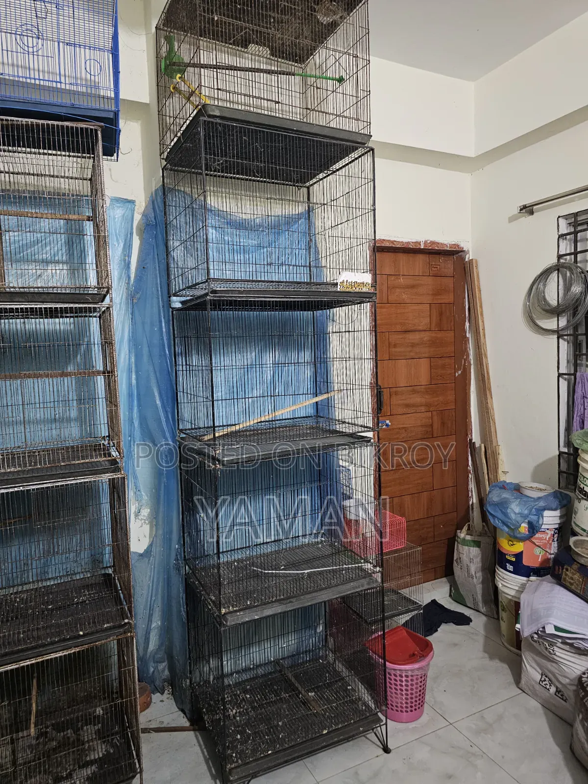 Birds Cages