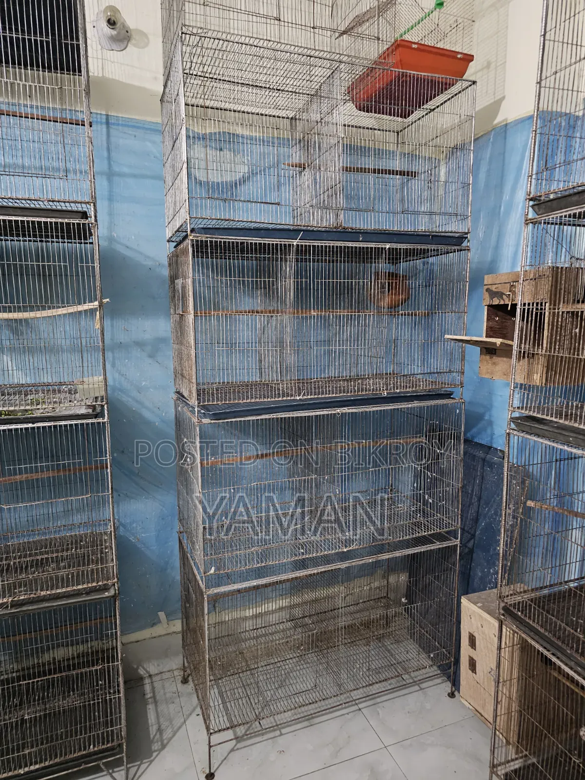 Birds Cages