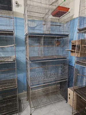 Birds Cages