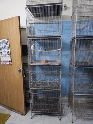 Birds Cages