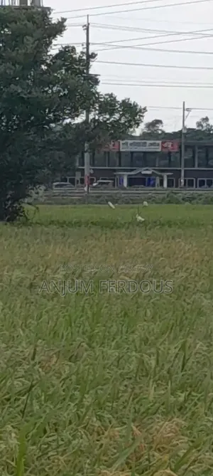 Anwara Chaturi Land Sale Two Gonda Cultivable Land in the Middle of Bil Without Road