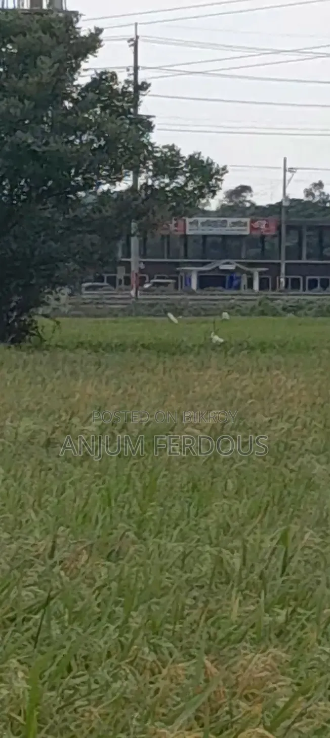 Anwara Chaturi Land Sale Two Gonda Cultivable Land in the Middle of Bil Without Road