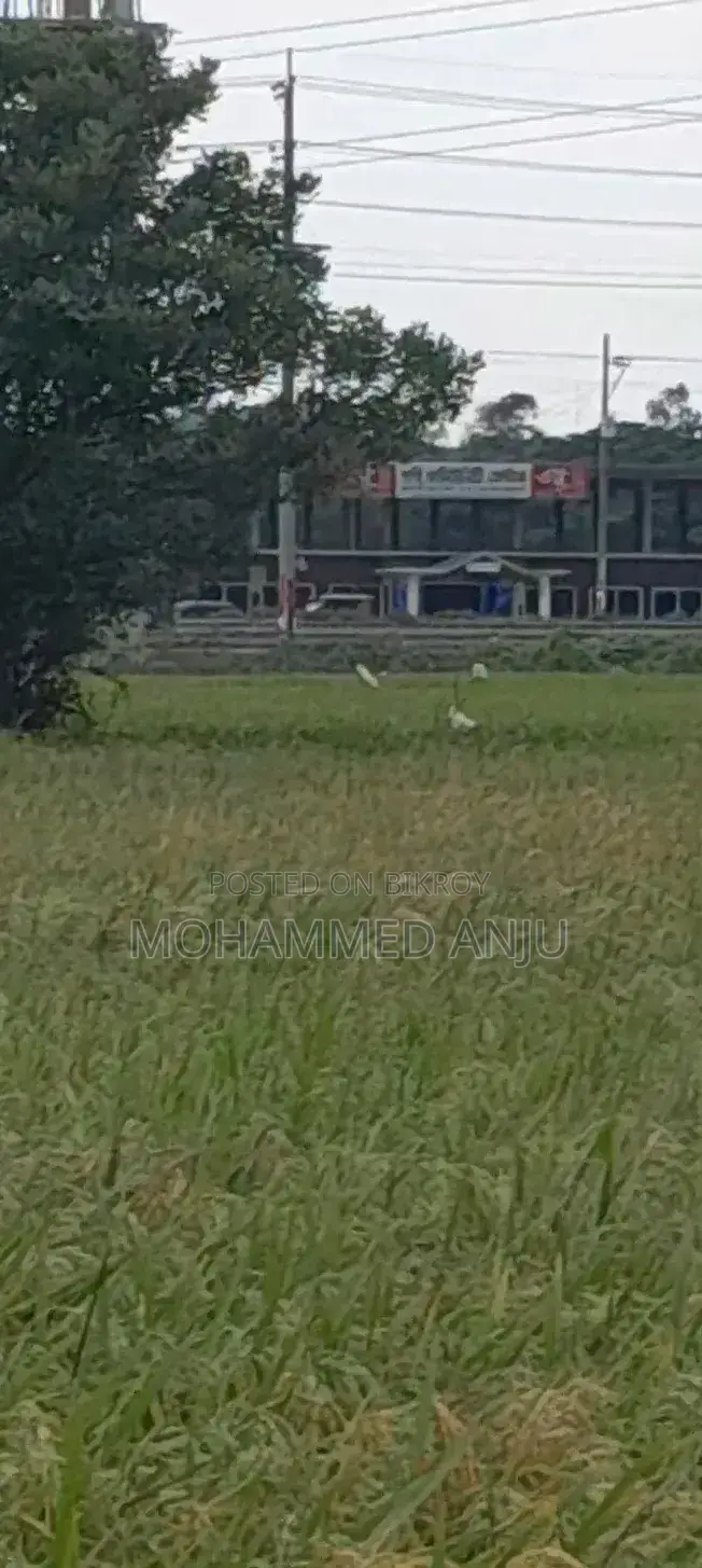আনোয়ারা চাতুরী জমি বিক্রি দুই গন্ডা চাষের জমি বিলের মাঝখানে রোড নাই