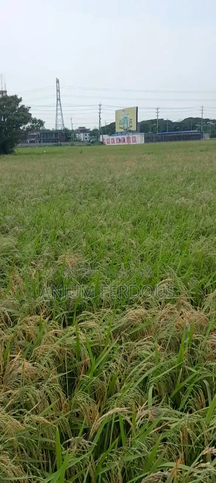 Anwara Chaturi Land Sale Two Gonda Cultivable Land in the Middle of Bil Without Road
