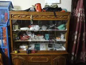 Wooden Glass-Door Showcase