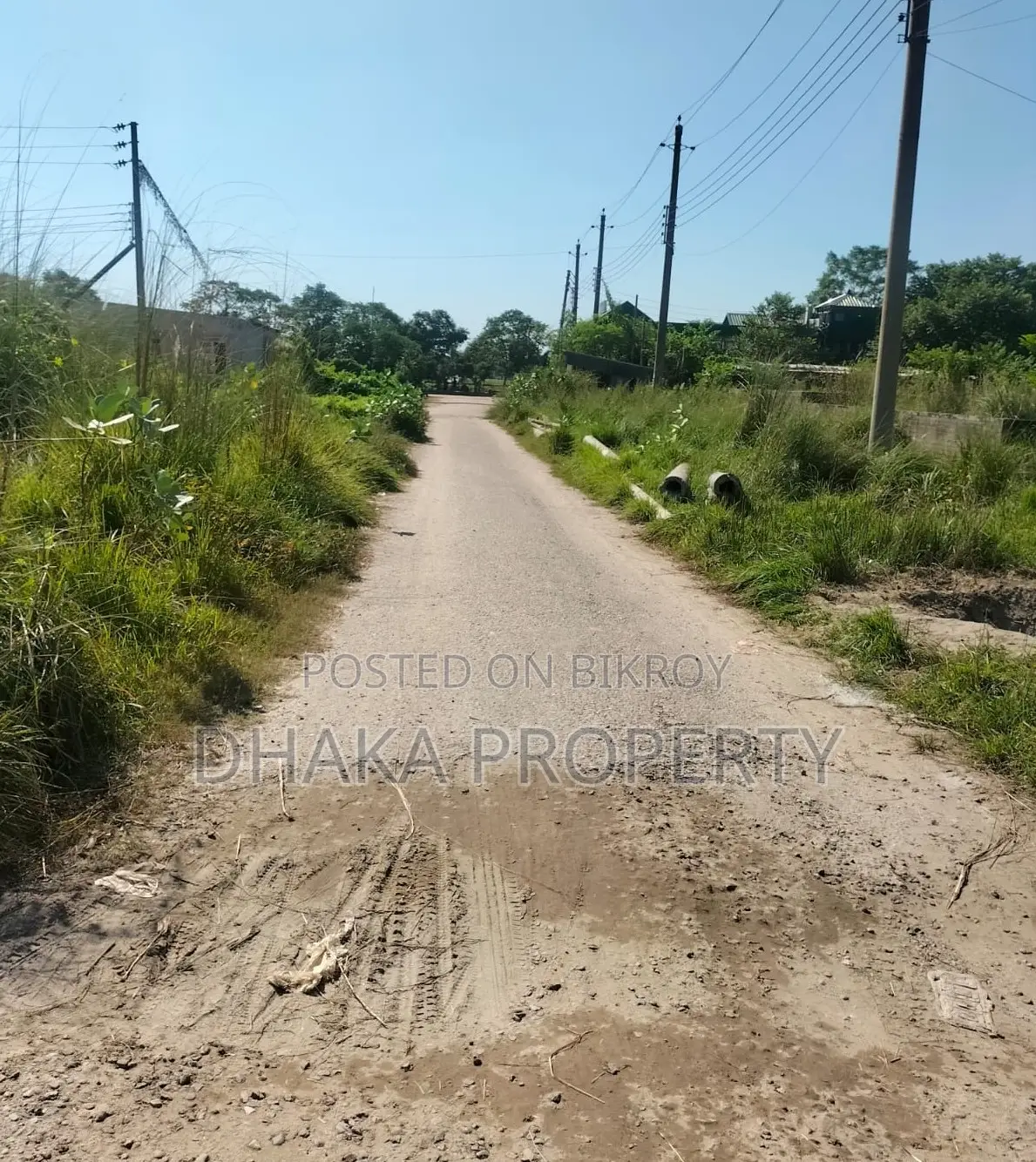 Nearby 100ft 3 Katha Forest South at Sector-24
