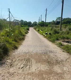 Nearby 100ft 3 Katha Forest South at Sector-24