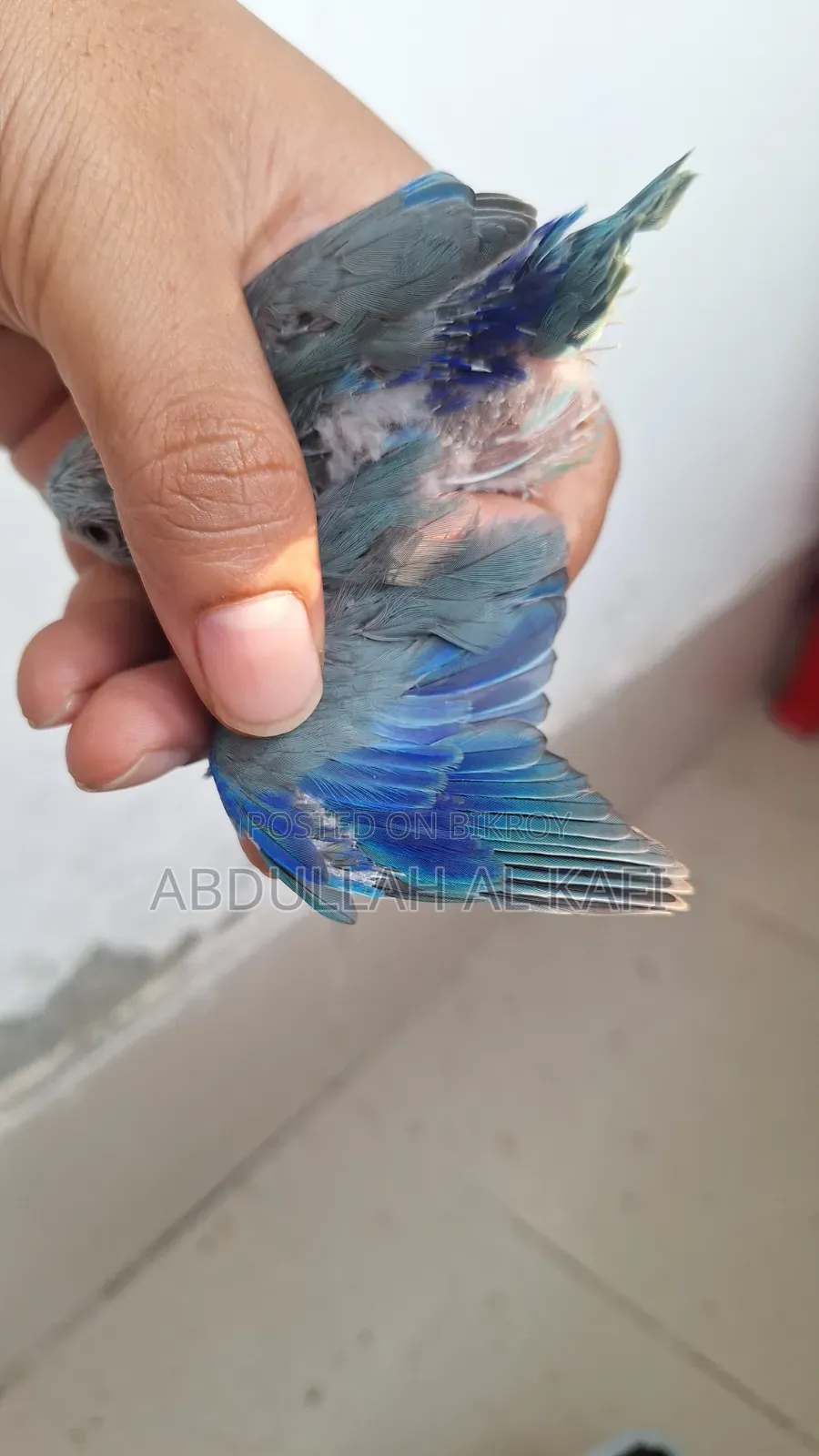ফরপুর টেম সাইজ বেবি
