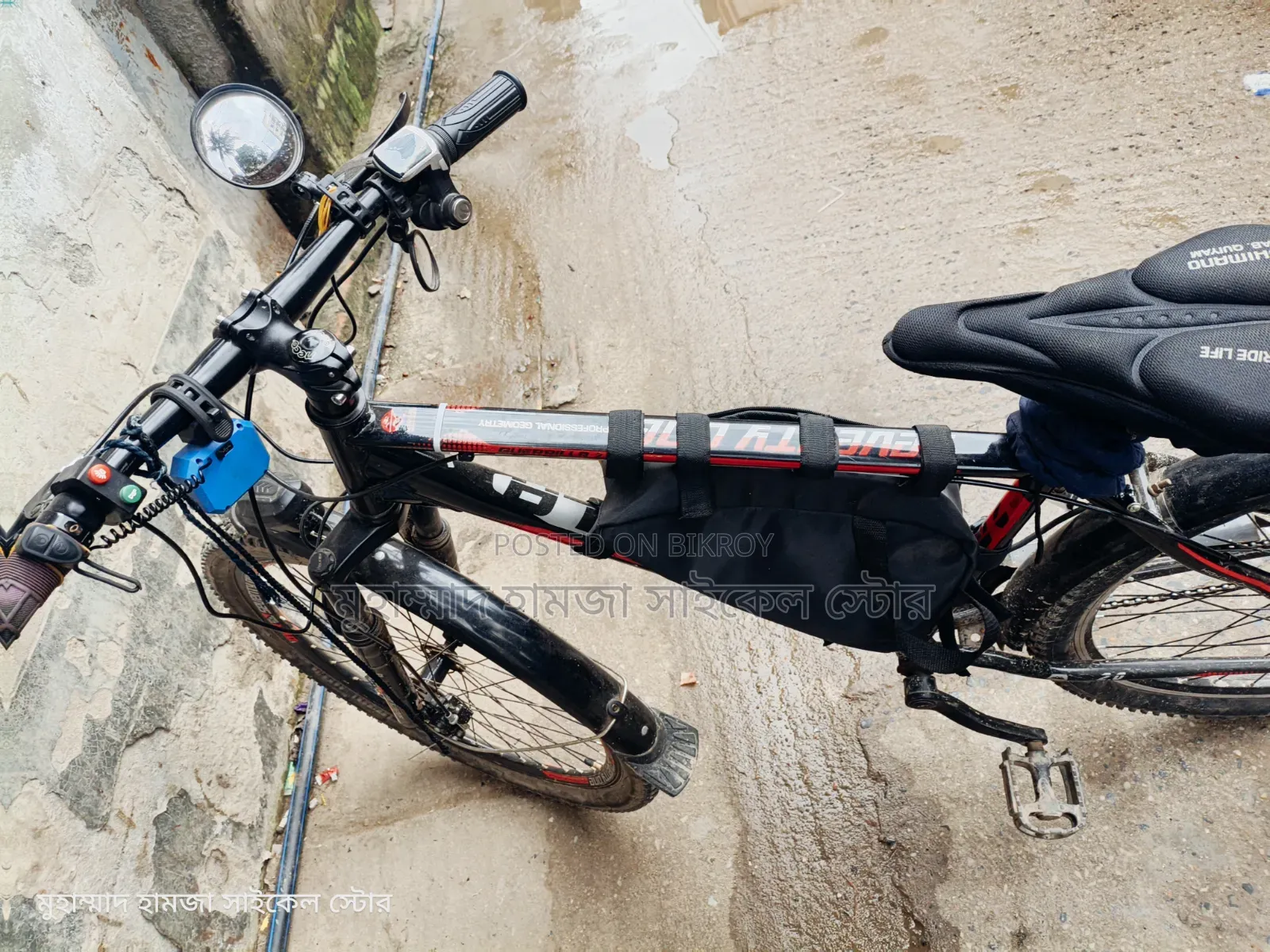 Electric Bicycle