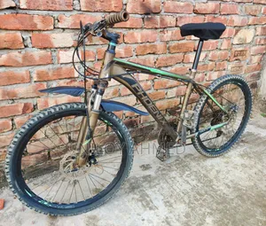 Phoenix Cortex 6061 Aluminium MTB Gear Bicycle 24"