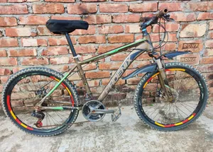 Phoenix Cortex 6061 Aluminium MTB Gear Bicycle 24"