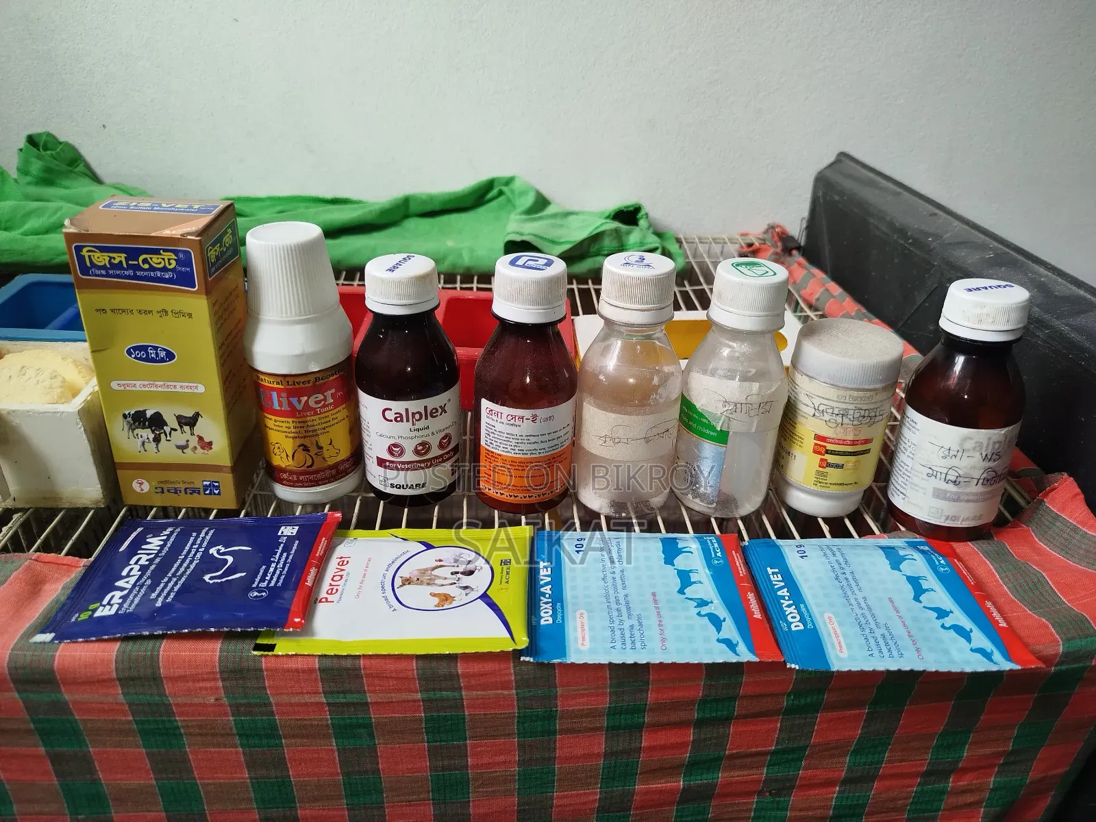 বড় খাঁচাসহ ৫টি বাজরিগার পাখি (হাঁড়ি, খাবার, পট ও ওষুধ সহ ফুল সেটআপ)