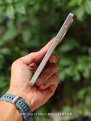 Vivo X200 Pro mini 512 GB Gold