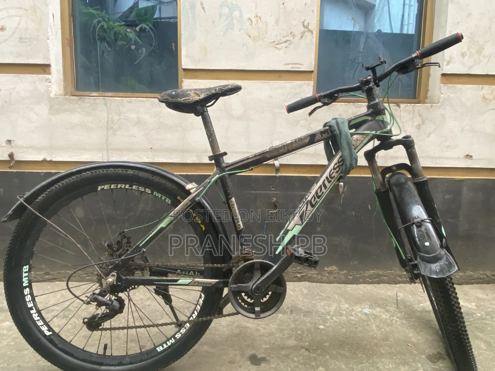 Peerless Cycle