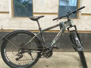 Peerless Cycle