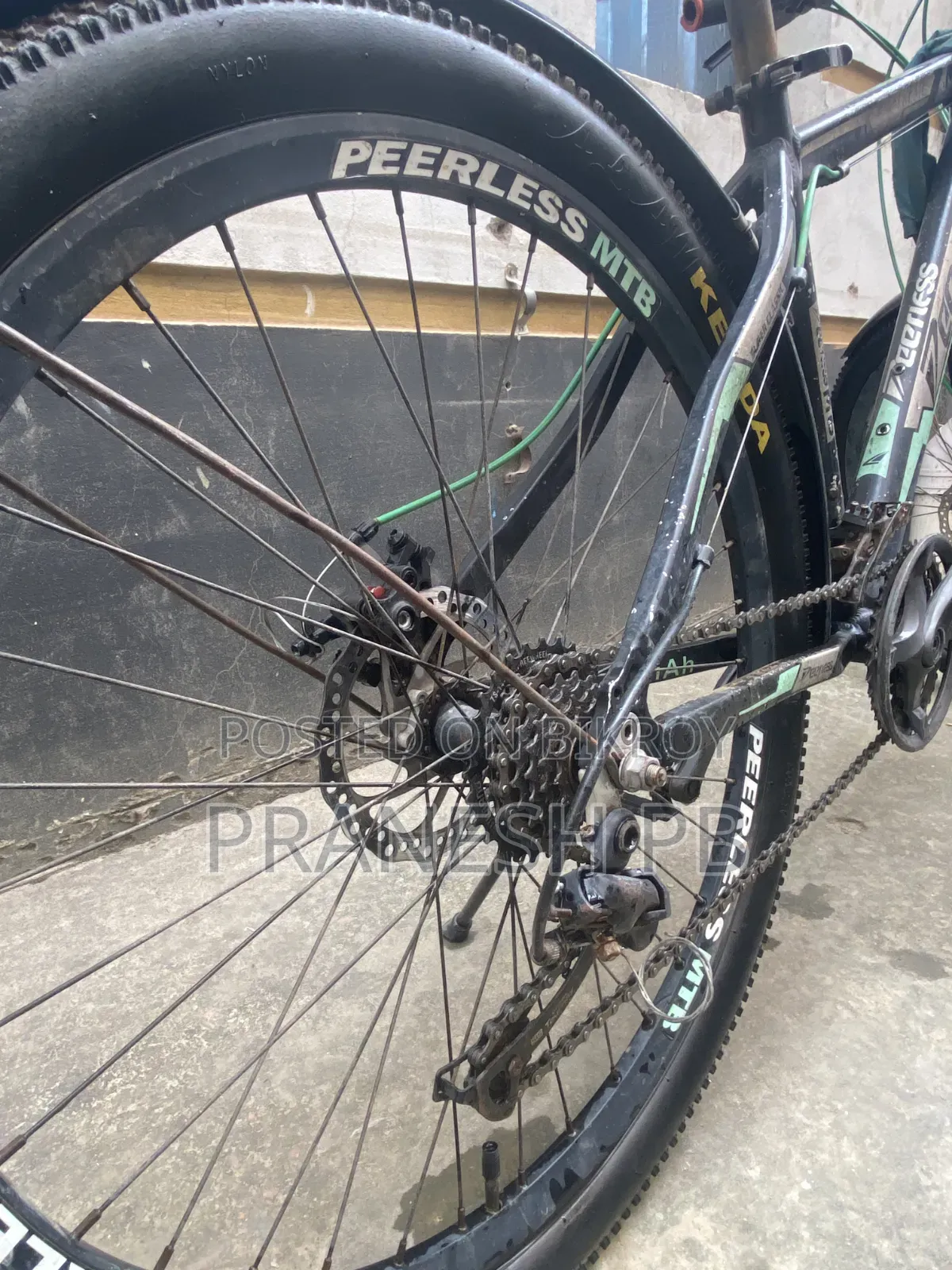 Peerless Cycle