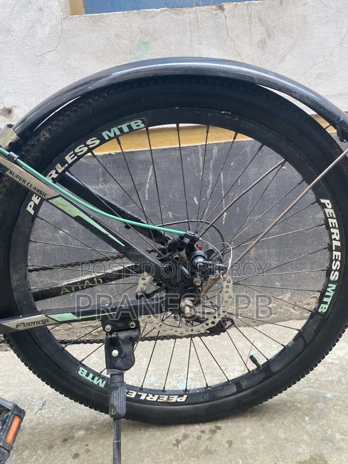 Peerless Cycle
