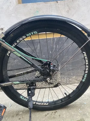 Peerless Cycle