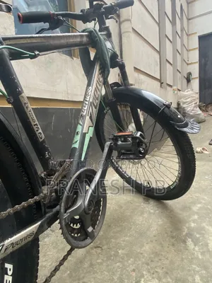 Peerless Cycle