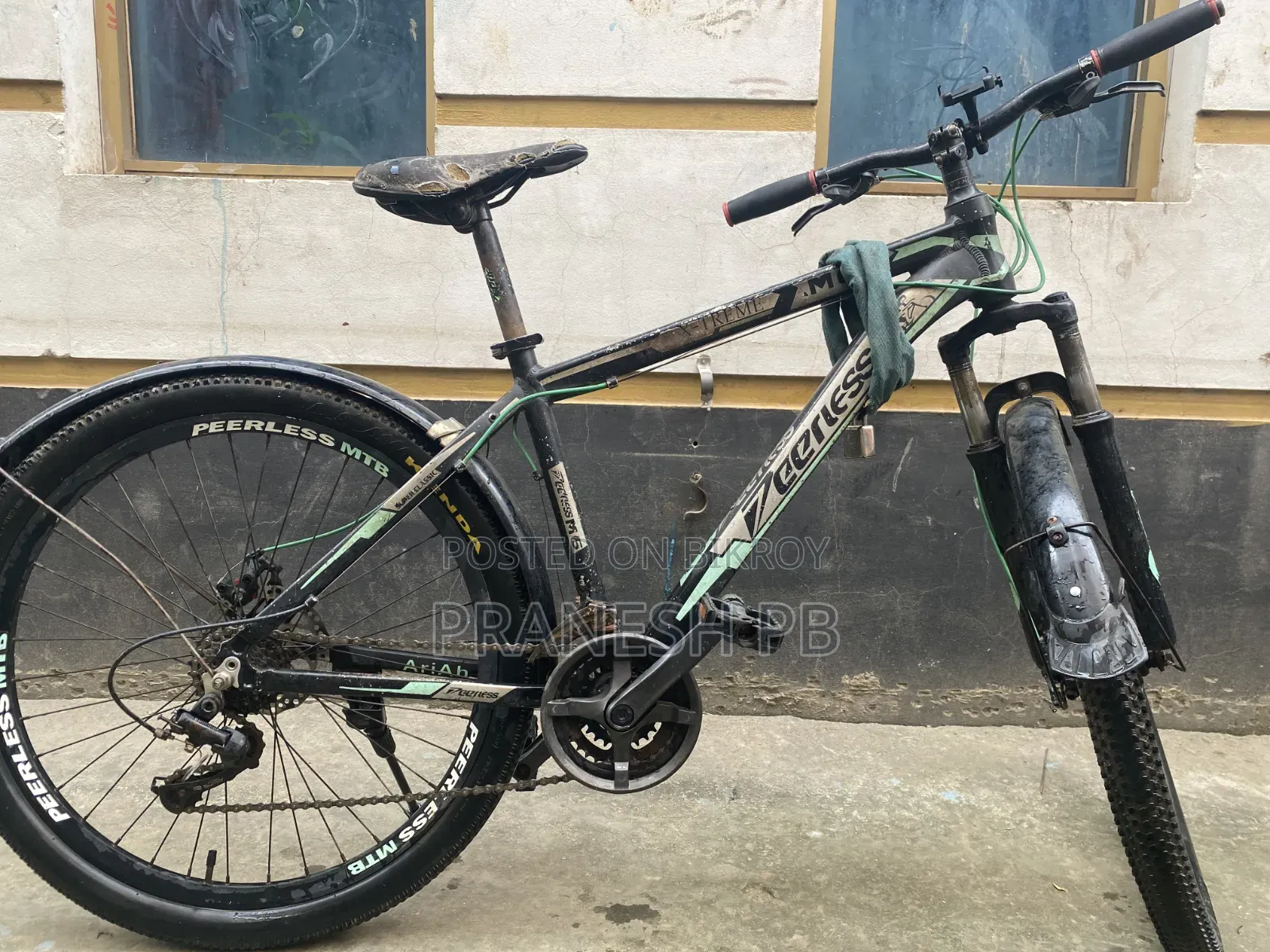 Peerless Cycle