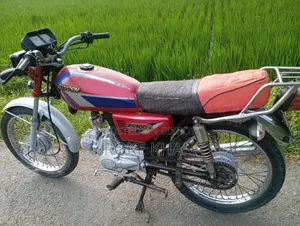 দয়াং ডিওয়াই১০০টি-৬এম ২০০৮ লাল