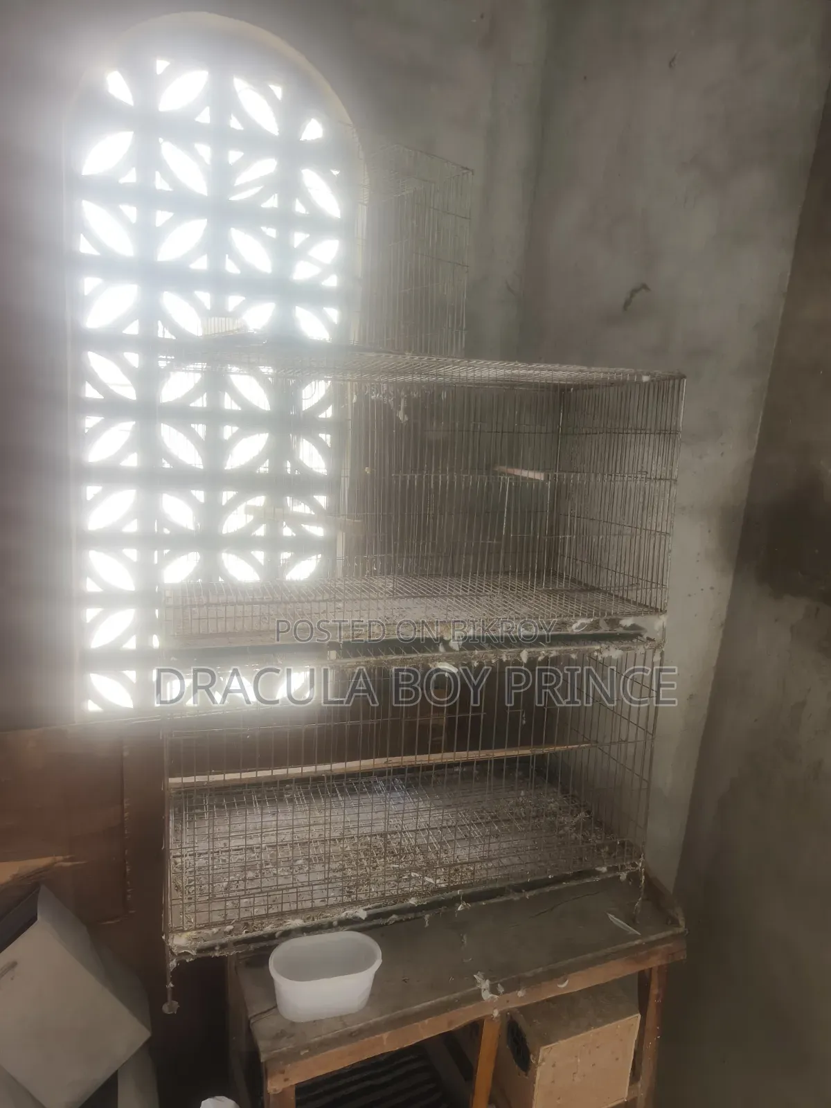 Bird Cage