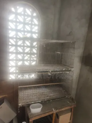 Bird Cage