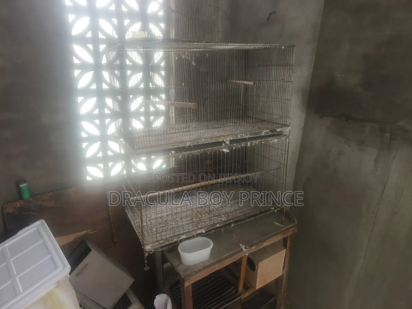 Bird Cage