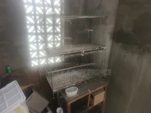 Bird Cage