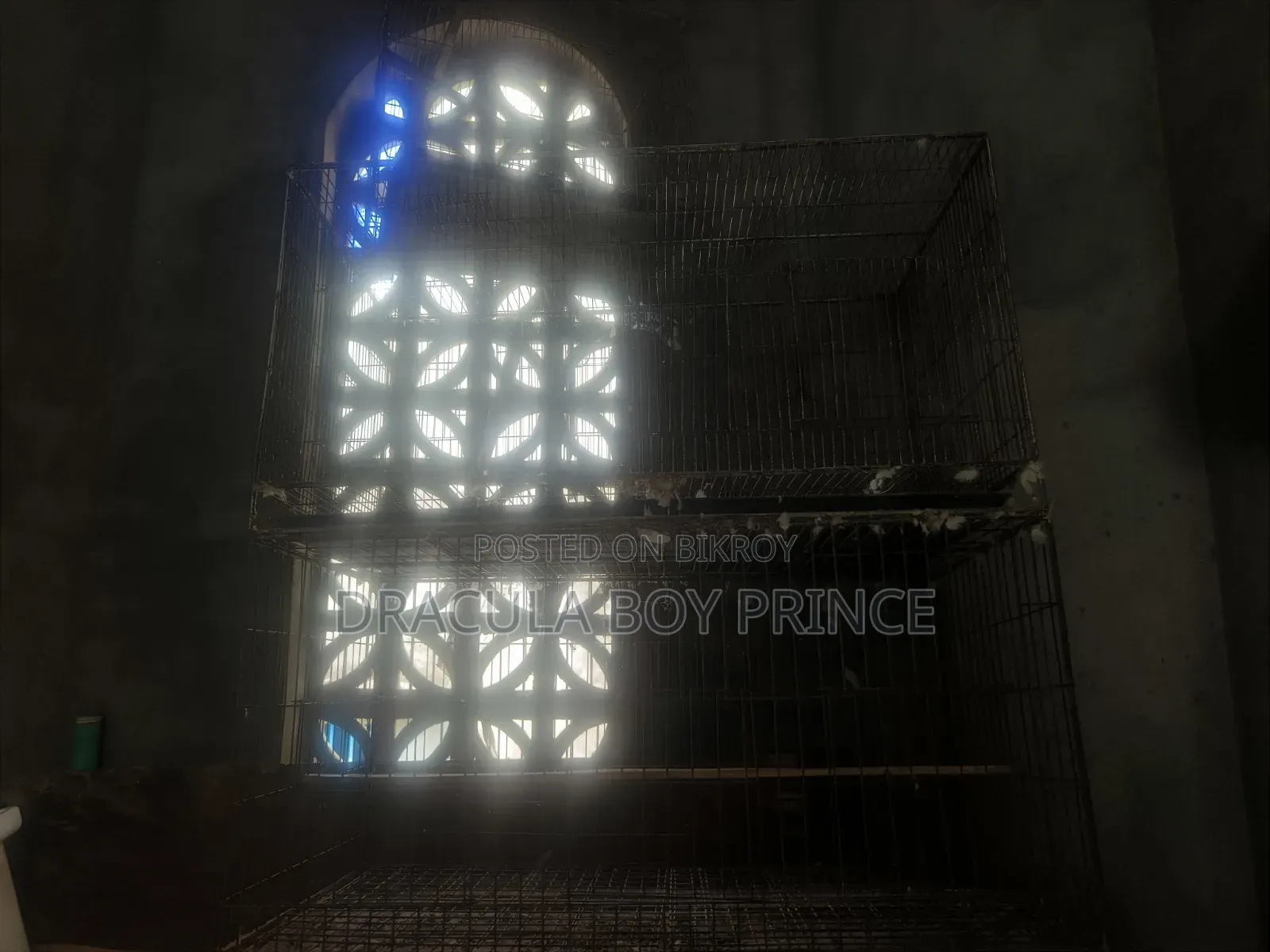 Bird Cage