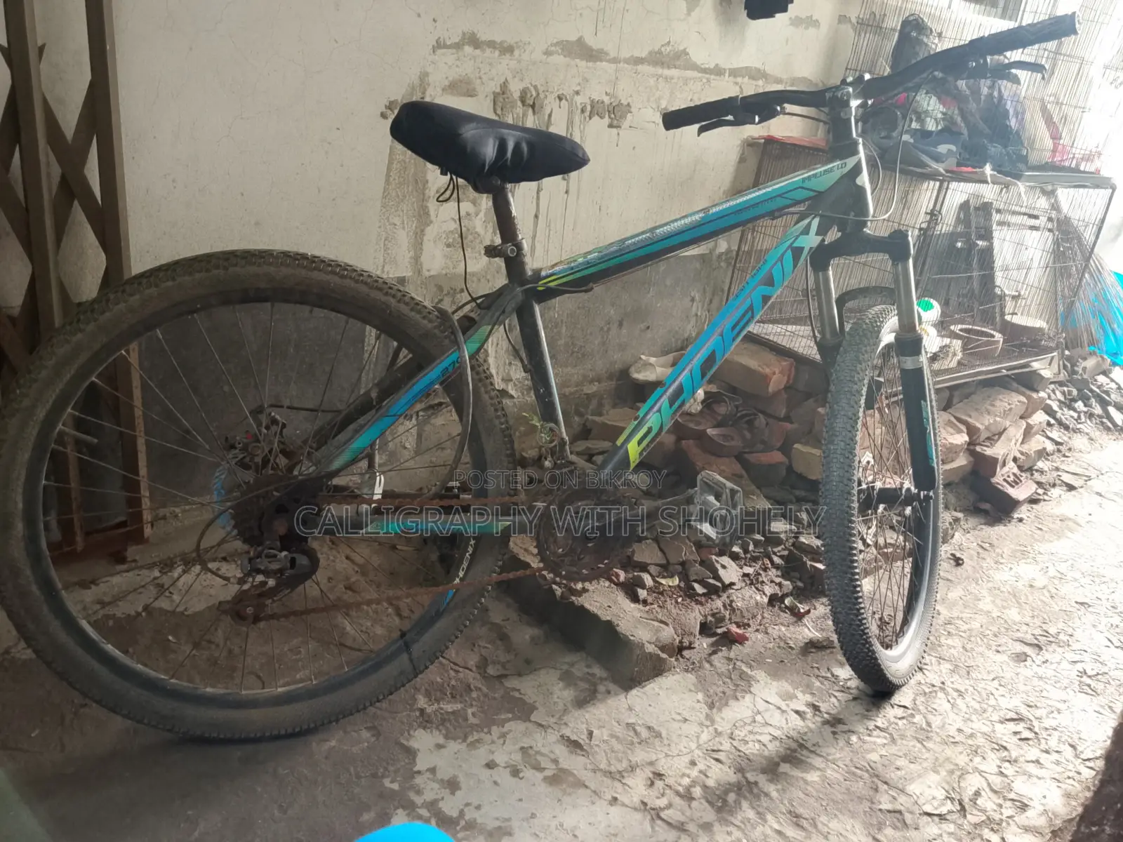 Bicycle Selling Blue Color