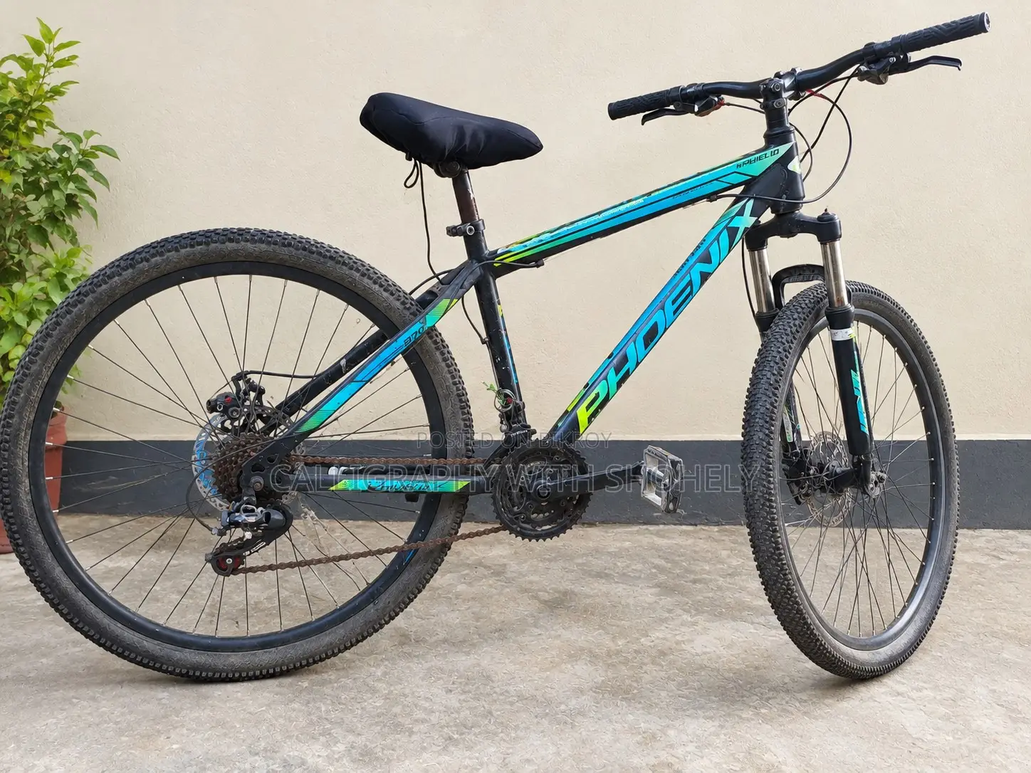Bicycle Selling Blue Color